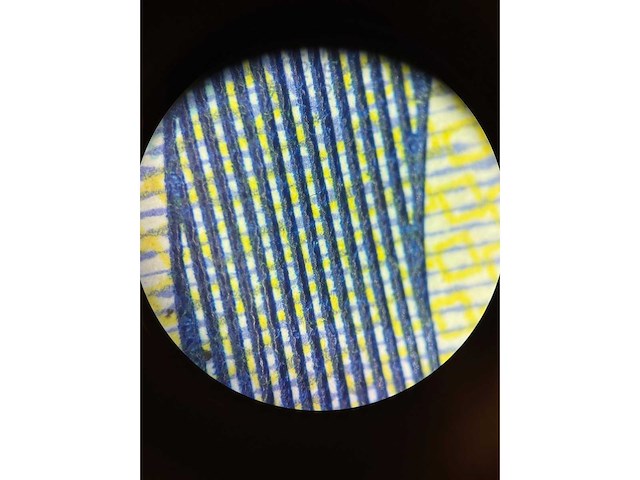 Zeiss stemi 508 stereo microscoop - afbeelding 6 van  7