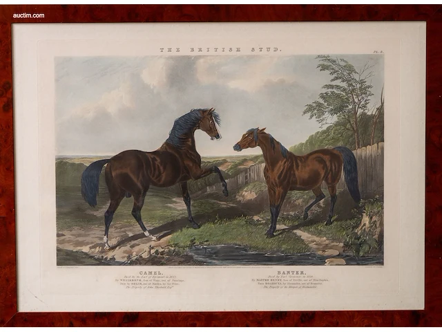 Zes antieke engelse kleurengravures j.f. herring... - afbeelding 1 van  7