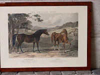 Zes antieke engelse kleurengravures j.f. herring... - afbeelding 3 van  7