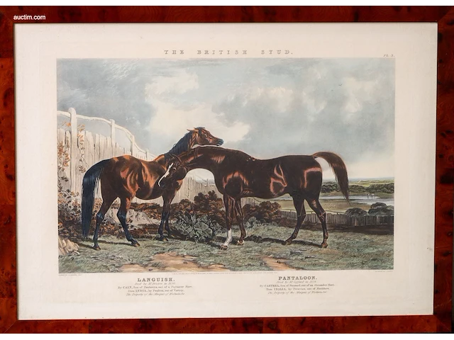 Zes antieke engelse kleurengravures j.f. herring... - afbeelding 4 van  7