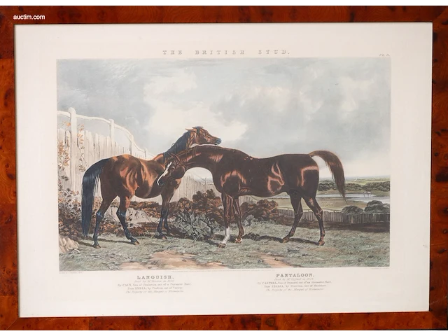 Zes antieke engelse kleurengravures j.f. herring... - afbeelding 5 van  7