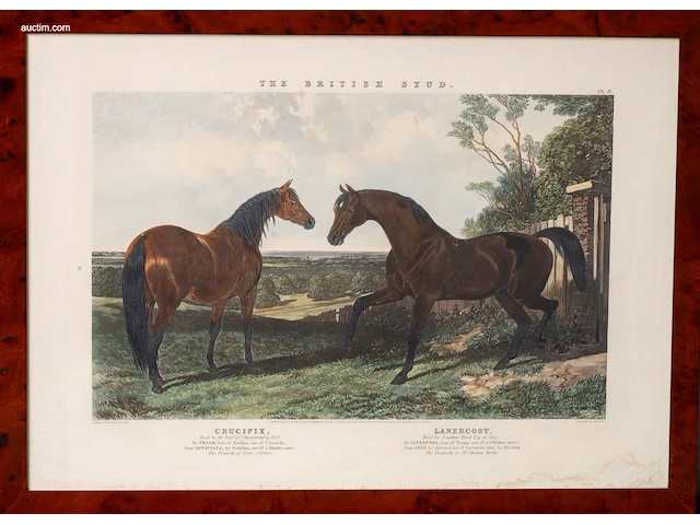 Zes antieke engelse kleurengravures j.f. herring... - afbeelding 6 van  7