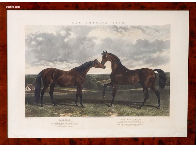 Zes antieke engelse kleurengravures j.f. herring... - afbeelding 7 van  7