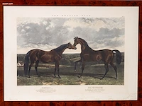 Zes antieke engelse kleurengravures j.f. herring... - afbeelding 7 van  7