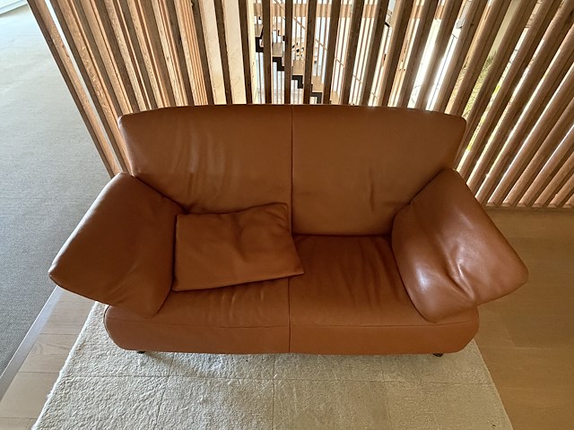 Zetel jori - afbeelding 3 van  3