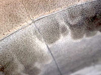 Zetel - afbeelding 3 van  3