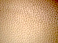 Zeteltje - afbeelding 5 van  5