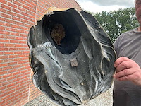 Zinken paardenhoofd - afbeelding 2 van  2