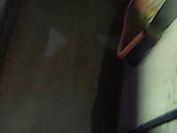 Zitmaaier (voor onderdelen) - afbeelding 6 van  6