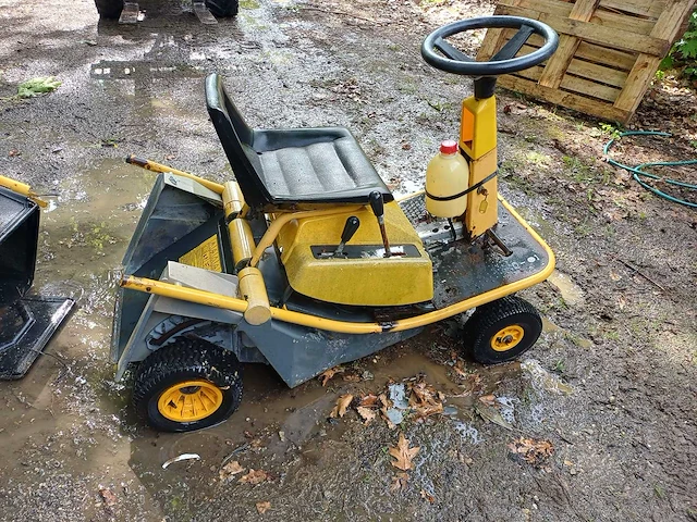 Zitmaaier yellow master - afbeelding 3 van  6