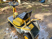 Zitmaaier yellow master - afbeelding 2 van  6