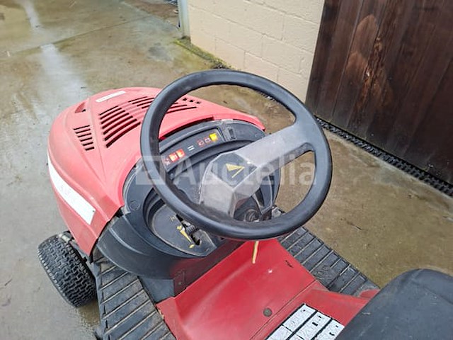 Zitmaaier - afbeelding 2 van  6