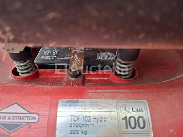 Zitmaaier - afbeelding 5 van  6