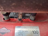 Zitmaaier - afbeelding 5 van  6