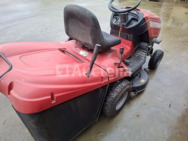 Zitmaaier - afbeelding 6 van  6