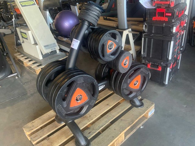Ziva 6x20;8x5kg;12x2,5kg;6x1,25kg 50mm schijven krachtstation - afbeelding 2 van  5