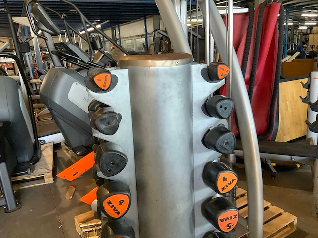 Ziva dumbbell toren niet compleet krachtstation - afbeelding 1 van  5