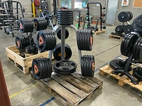 Ziva schijven 50mm 4x25;6x20;10x15;5x10;13x5kg krachtstation