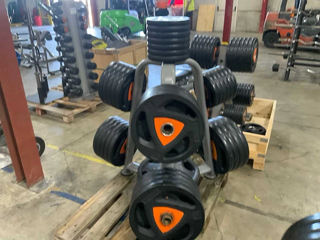 Ziva schijven 50mm 4x25;6x20;10x15;5x10;13x5kg krachtstation - afbeelding 4 van  5