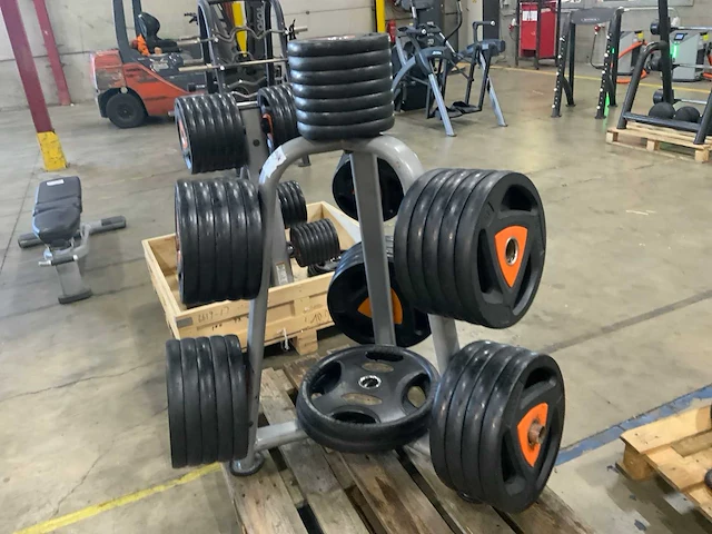 Ziva schijven 50mm 4x25;6x20;10x15;5x10;13x5kg krachtstation - afbeelding 5 van  5
