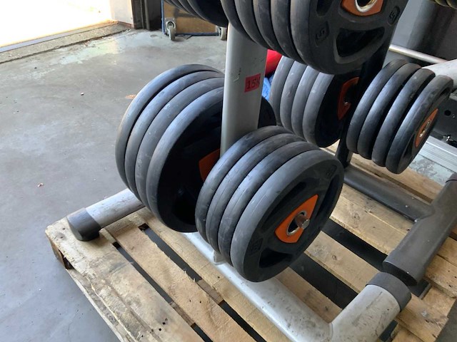 Ziva schijven 50mm met rek 4x20kg;4x10kg;10x5kg;4x2,5;6x1,25kg krachtstation - afbeelding 2 van  5