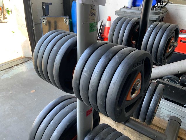 Ziva schijven 50mm met rek 4x20kg;4x10kg;10x5kg;4x2,5;6x1,25kg krachtstation - afbeelding 3 van  5