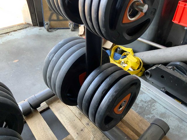 Ziva schijven 50mm met rek 4x20kg;4x10kg;8x5kg;4x2,5;6x1,25kg krachtstation - afbeelding 2 van  5