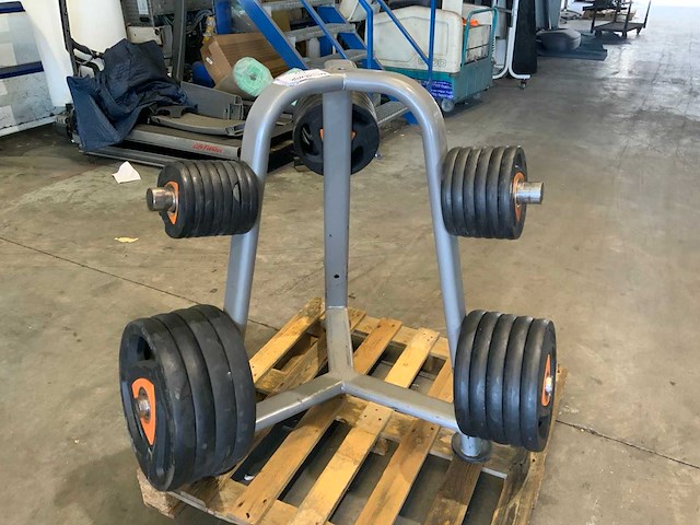 Ziva schijven 50mm met rek 4x20kg;5x10kg;5x5kg;6x2,5kg;8x1,25kg krachtstation - afbeelding 1 van  6