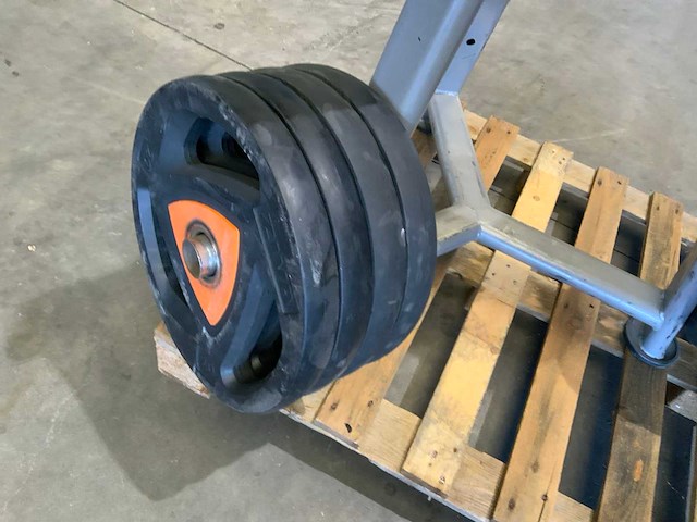 Ziva schijven 50mm met rek 4x20kg;5x10kg;5x5kg;6x2,5kg;8x1,25kg krachtstation - afbeelding 5 van  6