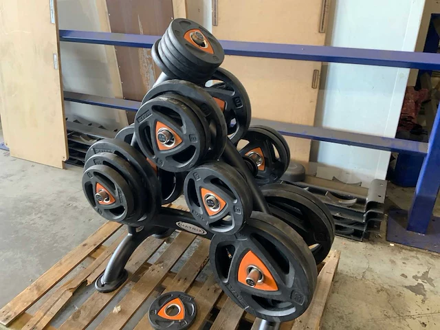 Ziva schijven 50mm met rek 7x20;4x10;8x5;6x2,5;4x1,25kg krachtstation - afbeelding 1 van  6