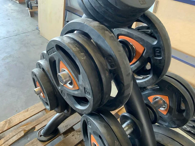Ziva schijven 50mm met rek 7x20;4x10;8x5;6x2,5;4x1,25kg krachtstation - afbeelding 2 van  6