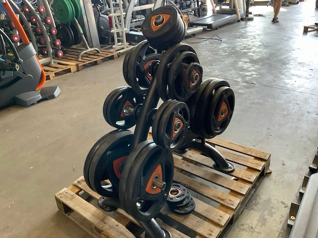 Ziva schijven 50mm met rek 7x20;4x10;8x5;6x2,5;4x1,25kg krachtstation - afbeelding 4 van  6
