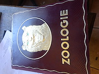 Zoologie kwatta - afbeelding 1 van  4