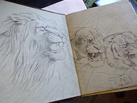 Zoologie kwatta - afbeelding 2 van  4