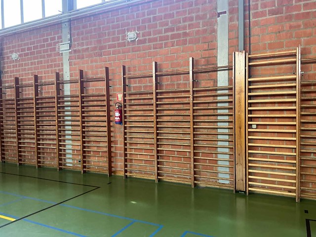Zweedse klimrekken (wandrekken) zweedse klimrekken (wandrekken) overige gymnastiek - afbeelding 2 van  4