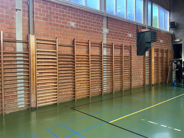 Zweedse klimrekken (wandrekken) zweedse klimrekken (wandrekken) overige gymnastiek - afbeelding 3 van  4