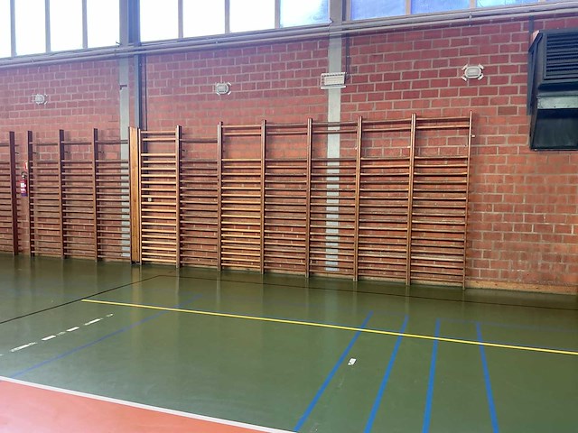 Zweedse klimrekken (wandrekken) zweedse klimrekken (wandrekken) overige gymnastiek - afbeelding 4 van  4